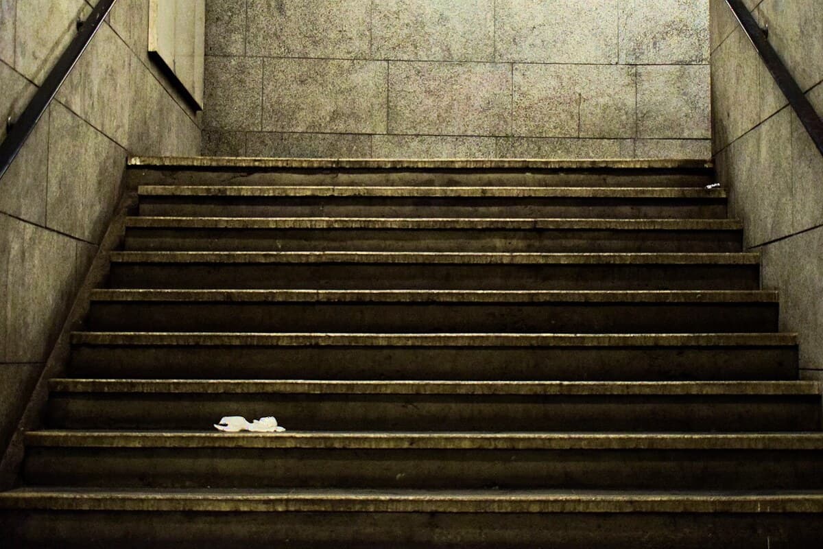 The Learning Architecture